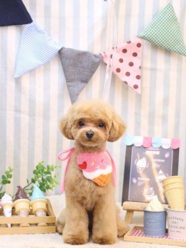 20250510らぶちゃん